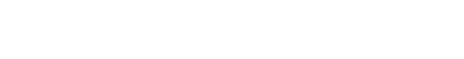 Net Lease Capital Advisors logo